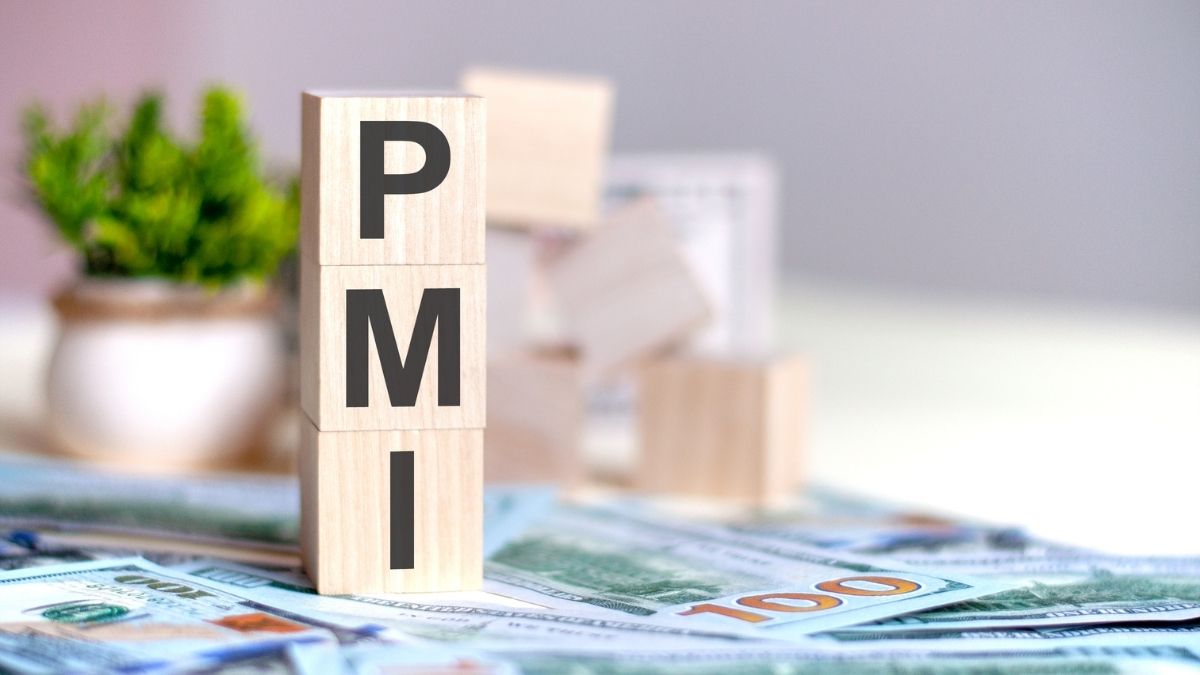 May PMI rises to 55 as domestic demand stays strong