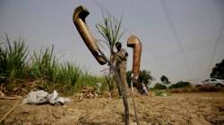 Monsoons this year may be one of weakest in a decade; farmers prepare with cautious confidence
