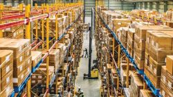 WTC enters logistics, warehousing space in India; premium office demand outpaces supply 
