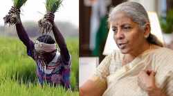 Monsoon ‘deficient’ at 28% of benchmark, FM flags impact on farmers’ income