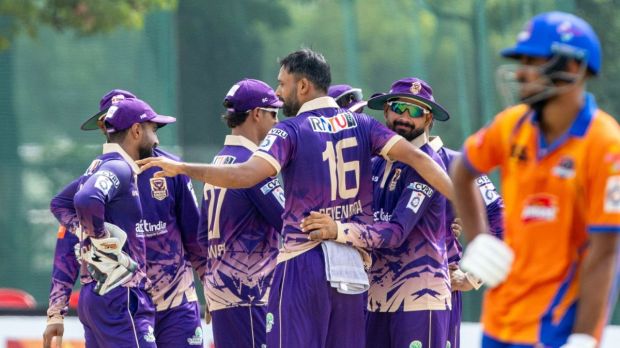 Madhya Pradesh League Ownership structure has a variety of players in it.