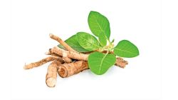 FSSAI bans Ashwagandha leaves: Safety of herbal supplement under scrutiny