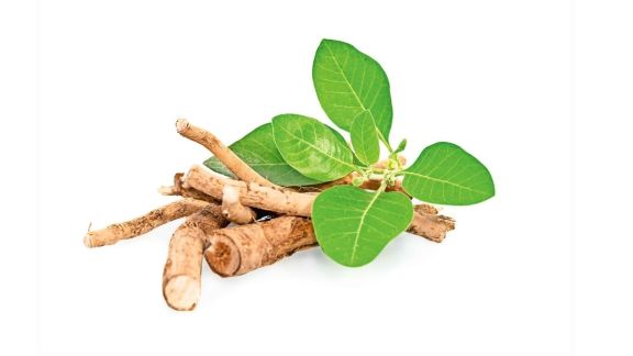 Roots vs. Leaves: Why India’s Food Regulator is Drawing a Firm Line on Ashwagandha Supplements