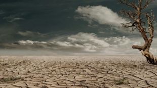 Written in the Sky: Weakest Monsoon in 11 Years Threatens to Ignite India's Rural Inflation