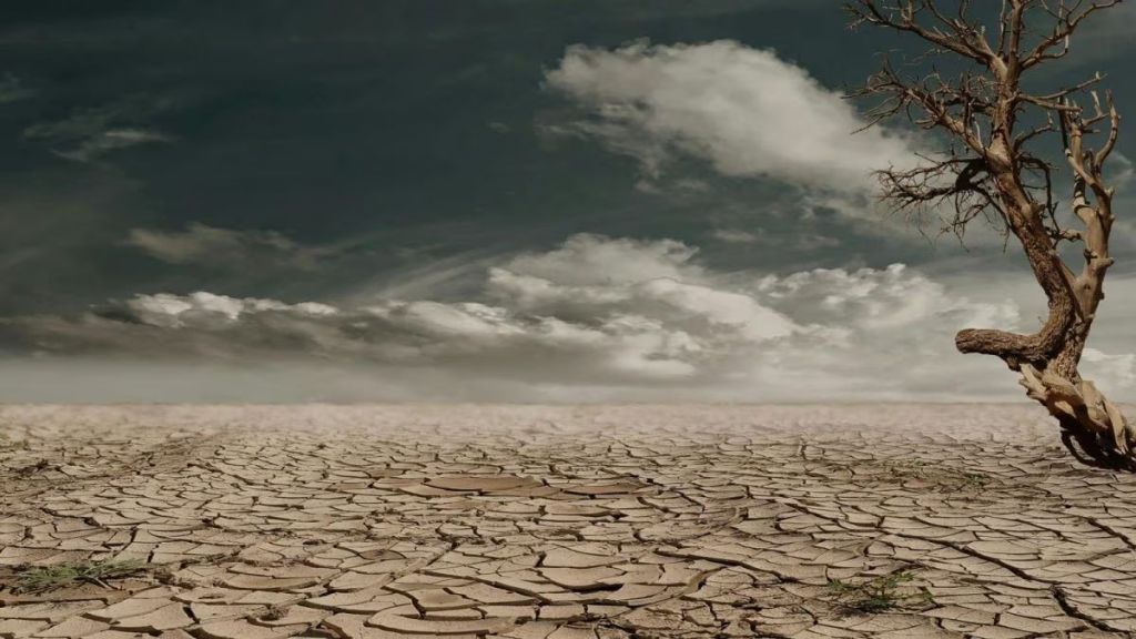 Below-normal rains may hit paddy, pulses, soya bean and coarse cereals, weaken rural consumption, strain water storage and weigh on India’s agri growth. Below-normal rains may hit paddy, pulses, soya bean and coarse cereals, weaken rural consumption, strain water storage and weigh on India’s agri growth.
