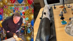 Elon Musk birthday
