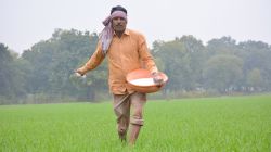 Fertilizer stock comfortable, subsidy estimate to be reassessed: Govt