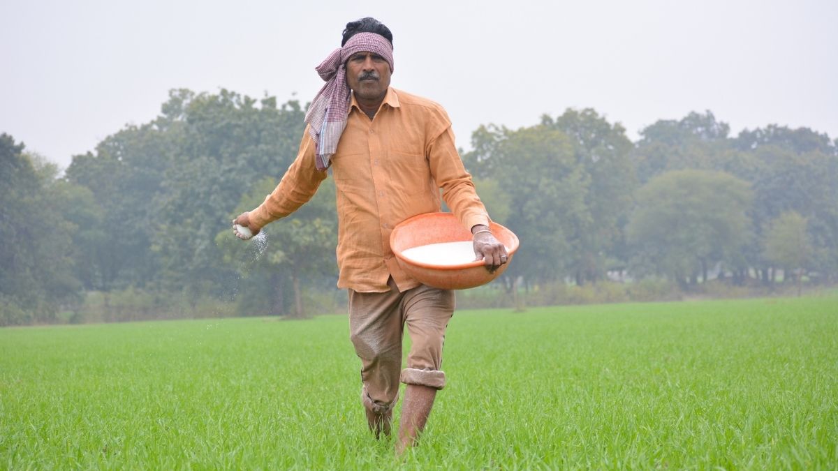 Horumz opening to contain fertiliser subsidy spike by Rs 1 L-cr