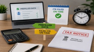 The investigation revealed a timing gap. When Shreesh filed his return, the income tax portal's automated data was incomplete because his freelance clients had filed their quarterly returns late.