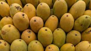 Why are mango farmers in Tamil Nadu letting their crop rot? (Photo: Pexels)