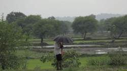 Monsoon deficiency widens to 38%, early kharif sowing sluggish
