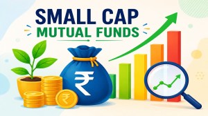 Small-cap stocks generally trade in lower volumes than large companies. So if a fund faces heavy redemptions during a market fall, it may not be able to sell all its holdings quickly without putting pressure on prices.