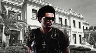 the weeknd