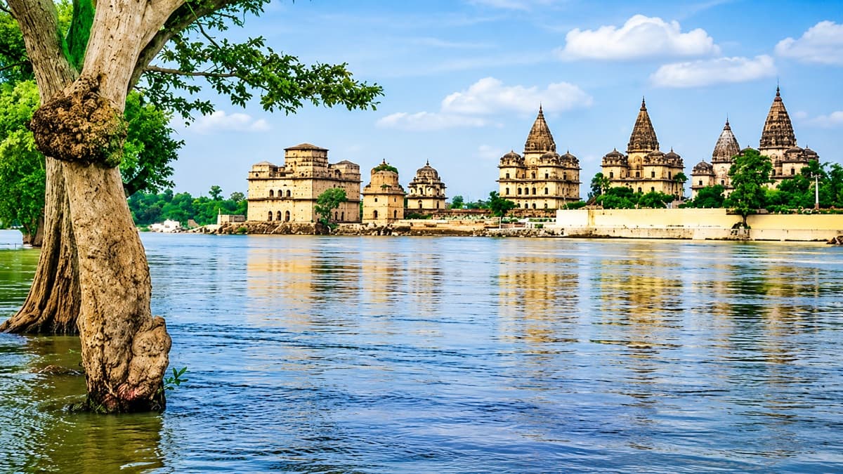 Ken-Betwa protest: What triggered police crackdown on the ongoing protest against Rs 44,605-cr project