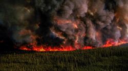 Canadian wildfire smoke reaches US: Which areas are affected and what to expect