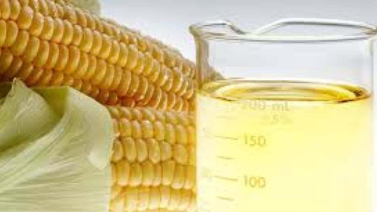 Maize emerges as biggest feedstock for ethanol