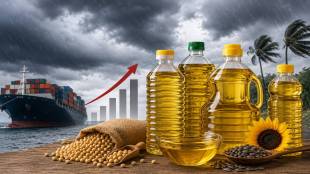 Edible-oil-price