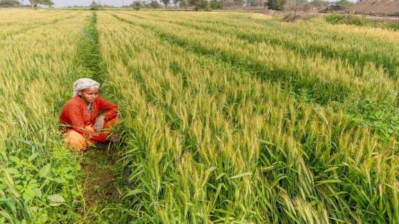 Gujarat government increases compensation to twice market rate for protesting farmers affected by power transmission projects