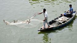 India adopts WTO pact banning support for illegal fishing