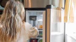 Ice make Refrigeration to receive Rs 180 crore investment from Japan’s Galile