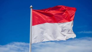 India-Indonesia economic partnership poised for growth beyond government agreements