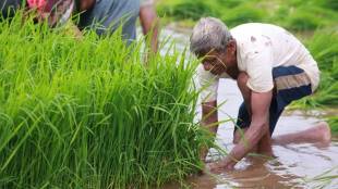 Kharif-sowing