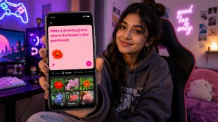 meta pocket vibe coding