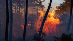 What’s behind the raging wildfires in Spain and France? Over 250,000 displaced