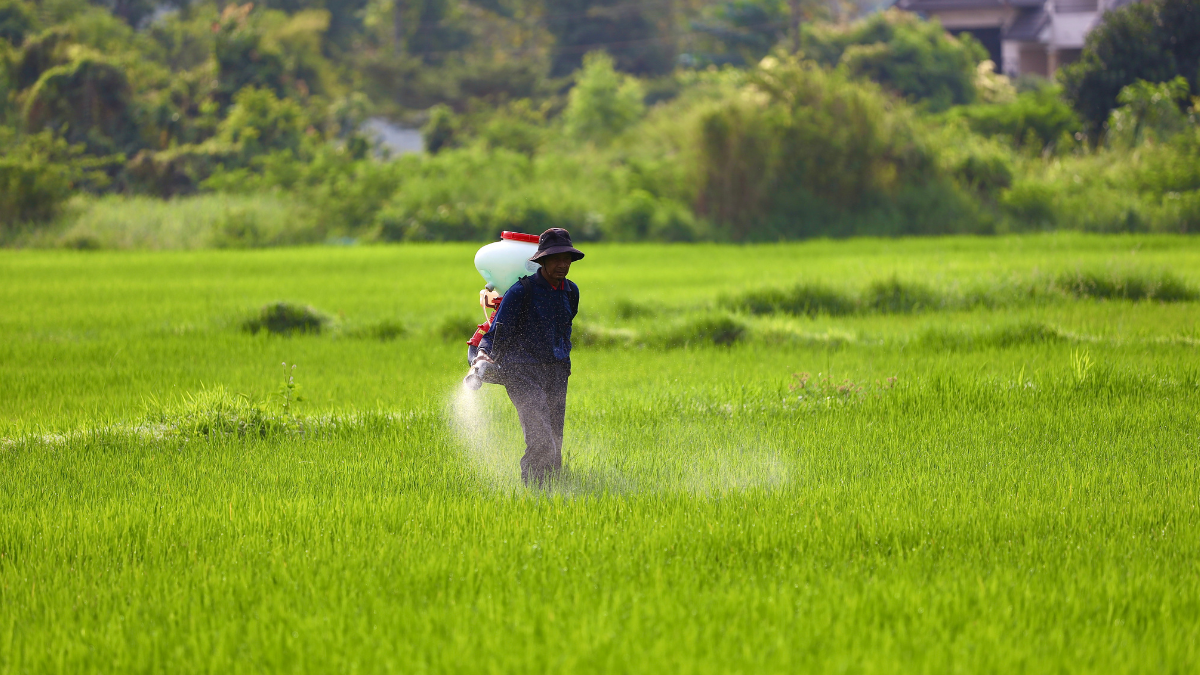 Panel recommends long-term deals to curb fertilizer import costs