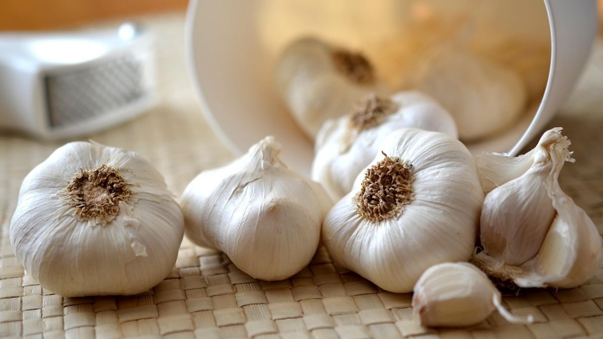 Why Canada’s food safety agency recalled this popular garlic powder at Dollarama stores