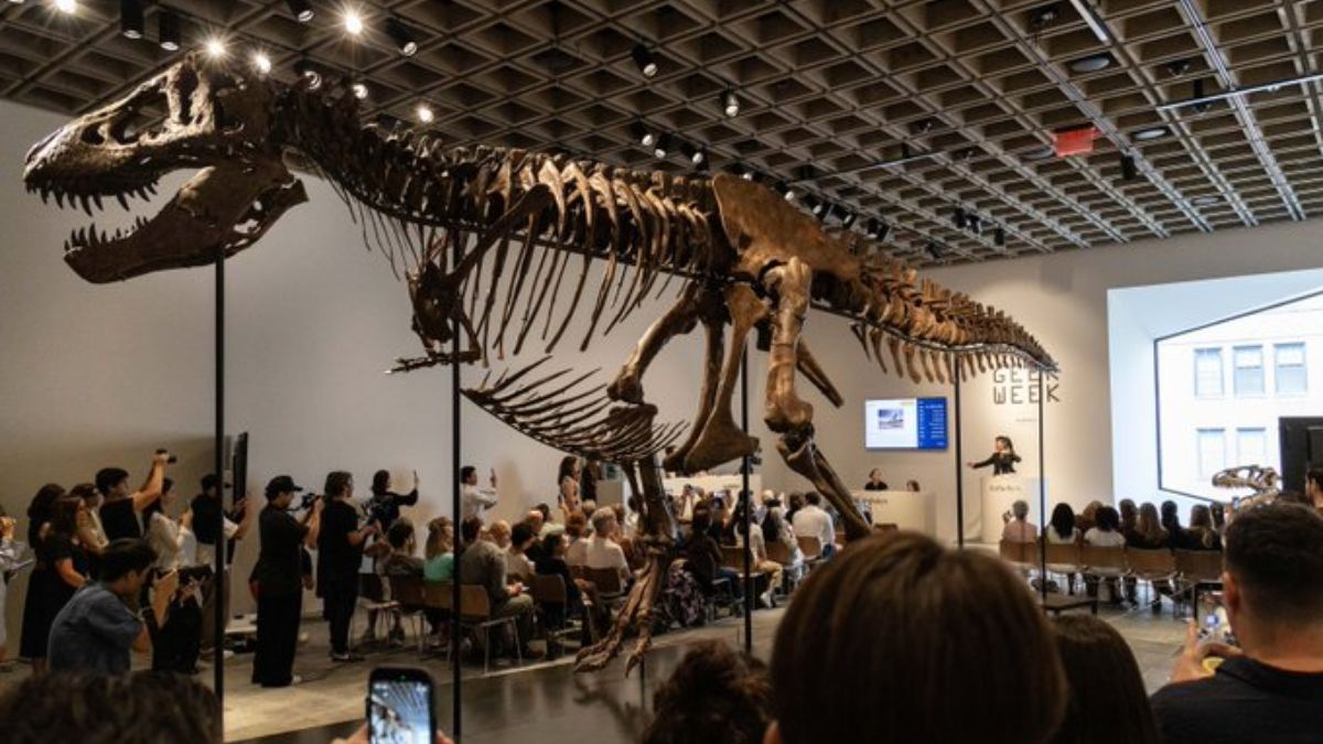 gus t rex gus t rex