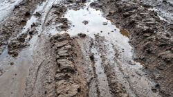 Monsoon havoc in Himachal Pradesh: 108 roads remain shut, restoration underway