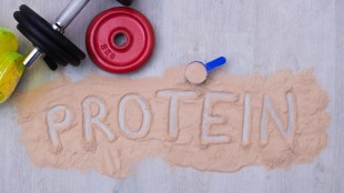 protein india market