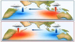 Indian Ocean Dipole
