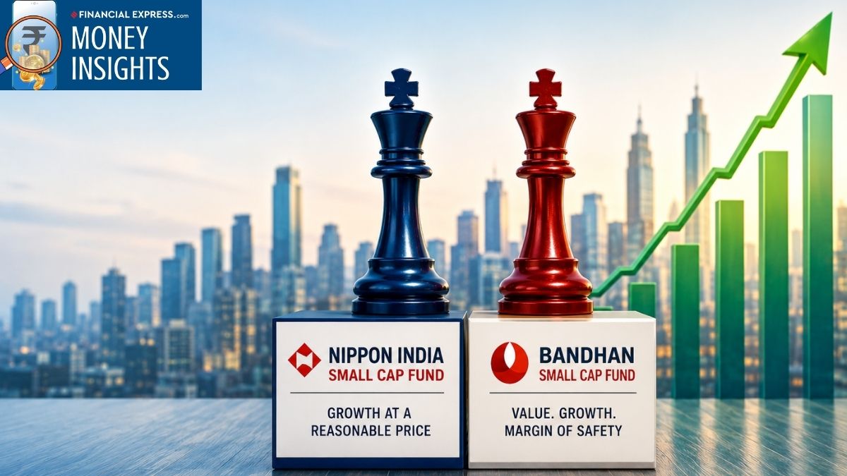 Investing in Small-Cap and Mid-Cap Funds: Growth Potential and Risk Considerations