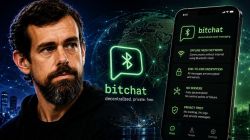 Why the govt ordered GitHub to take down Bitchat app