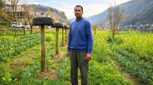 Himachal Pradesh government says around 2.25 lakh farmers like Tajender Thakur (above) have adopted natural farming practices in recent years. Photo by Rohit Prashar