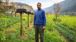 ‘I buy nothing but salt’: Inside a Himachal farmer’s experiment in natural farming