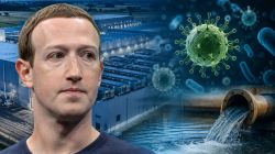 Explained: Why a deadly virus at Mark Zuckerberg’s $800M AI data centre triggered a water crackdown