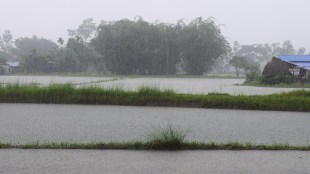 Monsoon Tracker: Rainfall deficit narrows to 14% but East, Northeast and South still deep in shortfall.