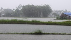 Monsoon Tracker: Rainfall deficit narrows to 14% but East, Northeast and South still deep in shortfall | Explained
