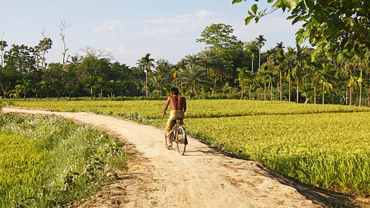 Rs 1,041 crore MGNREGA reboot in Tripura: Focus shifts to durable roads, canals & assets to transform rural India