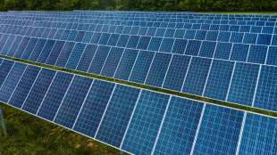 Social Alpha unveils techtonic accelerator for clean energy startups in India