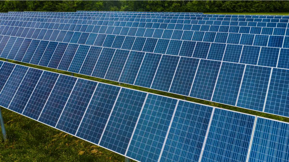 Social Alpha unveils techtonic accelerator for clean energy startups in India Social Alpha unveils techtonic accelerator for clean energy startups in India