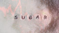 Stock limits on sugar from Aug 1 to curb hoarding
