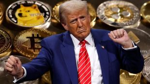 Trump crypto earnings