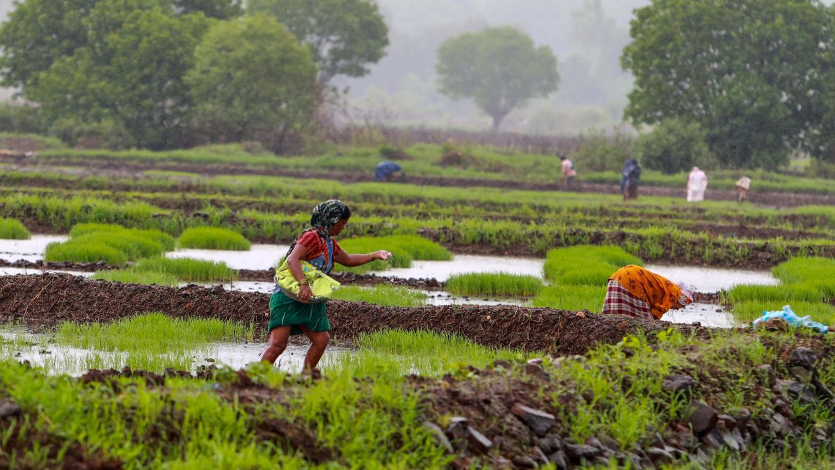 Agri laggard districts make headway under converged central schemes: Officials