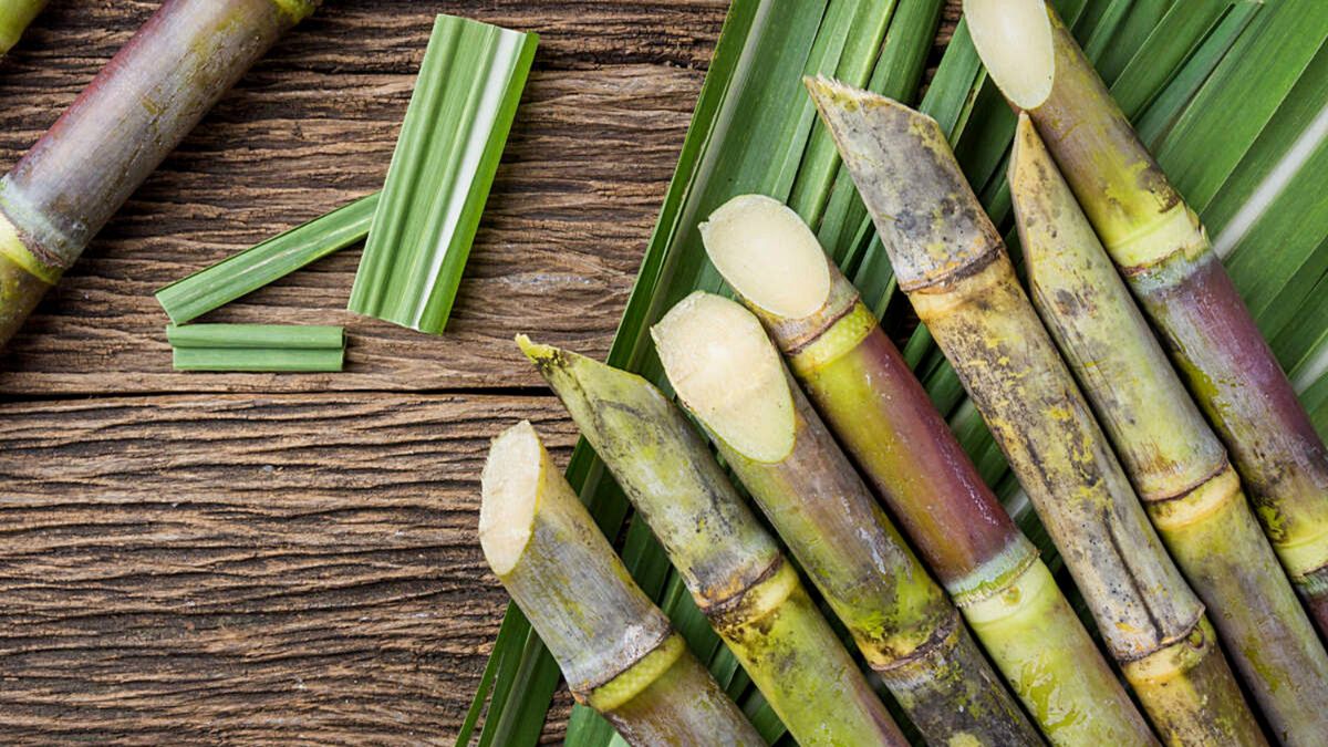 Indian Sugar Mills Propose Early Crushing Amid Rising Prices and Supply Concerns