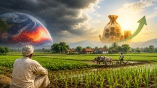 Rural demand likely to stay resilient in FY27 despite monsoon risks: UBS