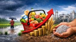 Food inflation rises to 5.52% in July